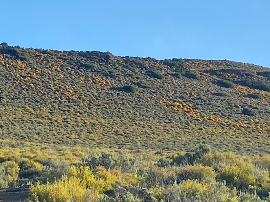 0 Bedroom Property for Sale in Touws River Rural Western Cape